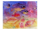 Angel Fish Giclee Print by Edward Julius Detmold