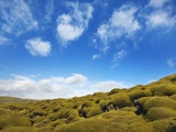 Moss landscape over lava field Photographic Print by Frank Krahmer