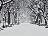 Central Park in Winter Photographic Print by Rudy Sulgan