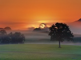 Foggy landscape at sunrise Photographic Print by Frank Krahmer