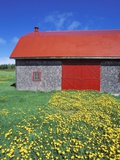 Red Roofed Barn and Dandelions, Gaspe Peninsula, Quebec, Canada Photographic Print by Chris Cheadle