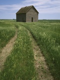 Grass Road Leading To Barn/Eagle Grove/Iowa Photographic Print by Paul Christensen