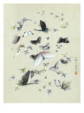 Drawing of butterflies and moths attributed to Settso Giclee Print