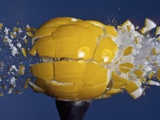 Yellow Jawbreaker Broken Photographic Print by Alan Sailer