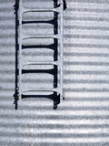 Ladder on Silo Photographic Print by Paul Edmondson
