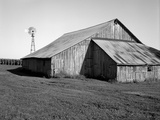 Delapidated barn next to corn field and windmill Photographic Print