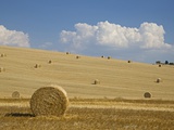 Fotofeeling - Italy, Tuscany, Bales of straw on harvested corn fields - Fotografik Baskı Fotofeeling - Italy, Tuscany, Bales of straw on harvested corn fields - Fotografik Baskı