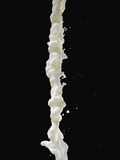 Pouring White Liquid Photographic Print