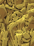 Doxycycline is a member of the tetracycline antibiotic group Photographic Print