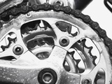 Sprockets Photographic Print