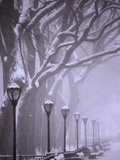 Central Park in winter Photographie par Gildo Nicolo Spadoni
