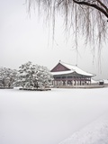 Gyungbok royal Palace under snow Photographic Print by Sung-Il Kim