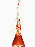 Liquid pouring out of water bottle Photographic Print by Dermot Conlan