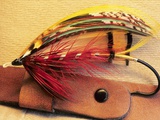 Atlantic Salmon Fly on Hat Brim, British Columbia, Canada. Photographic Print by Keith Douglas