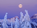 Moonset at Sunrise, Winter, Mount Seymour Provincial Park, North Vancouver, British Columbia Photographic Print by Michael Wheatley