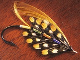 Hand Tied Atlantic Salmon Fishing Fly, British Columbia, Canada. Photographic Print by Keith Douglas