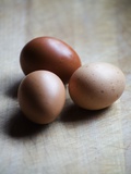 Brown eggs Lámina fotográfica por Elisa Lazo De Valdez