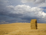 Italy, Tuscany, Stacked bales of straw on corn field Photographic Print by Fotofeeling 