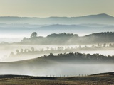 Misty hills in Tuscany Photographic Print by Frank Krahmer
