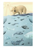 Polar Bear Looking at Fish Giclee Print