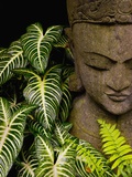 Statue in a Garden Location Information: Chiang Mai, Thailand Fotografisk tryk af Bruno Ehrs