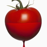 Tomatoe dripping with color Photographic Print by Mike Kemp