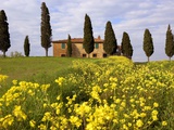 Orcia valley in spring Photographic Print by Fabio Muzzi