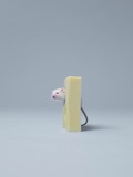 Mouse sticking head out of cheese Lámina fotográfica por Jakob Helbig Mouse sticking head out of cheese Lámina fotográfica por Jakob Helbig