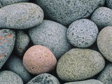 Detail of Pebbles on Long Island, Nova Scotia, Canada Photographie par Don Johnston