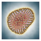 A(H1N1) (Swine flu) virus illustration Lámina giclée por Matthias Kulka