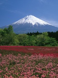 Beautiful View of Mountain Photographie par Michihiko Kanegae