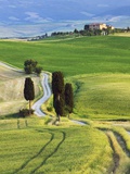 Corn fields and cypress trees in Pienza countryside Photographic Print by Frank Krahmer