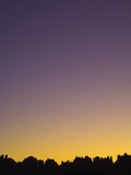 Sunset in the Needles District in Canyonlands National Park Photographic Print by John Eastcott & Yva Momatiuk