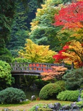 Bridge in Japanese Garden Photographie par Craig Tuttle