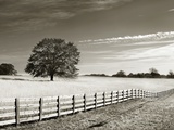 Newnan Photographic Print by John Kuss