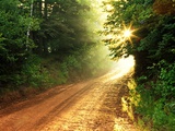 Clay Road, South Melville, Prince Edward Island, Canada Photographic Print by Barrett & MacKay Clay Road, South Melville, Prince Edward Island, Canada Photographic Print by Barrett & MacKay
