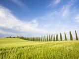 Tuscan landscape Fotografie-Druck von Frank Lukasseck