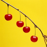 Four cherries by Tom Marks Photographic Print by Tom Marks