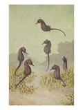A painting of several seahorses swimming around seaweed. Giclee Print by National Geographic Society 
