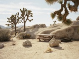 Picnic table in desert Fotografisk trykk av Peter Bohler