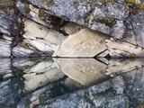 Horseshoe Lake Jasper National Park Alberta, Canada. Photographic Print by Darwin Wiggett