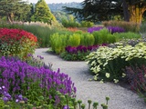 Path in Trentham Gardens Fotografisk tryk af Clive Nichols