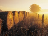 Misty Morning, Farmland and Wheat Straw Rolls, Near St. Adolphe, Manitoba, Canada Fotografie-Druck von Dave Reede