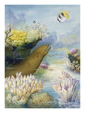Moray eels lurk in submarine coral reef crevices Lámina giclée por National Geographic Society Moray eels lurk in submarine coral reef crevices Lámina giclée por National Geographic Society