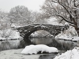 Lake and bridge in winter Photographic Print by Fotog 