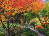 Fall colors at Portland Japanese Gardens, Portland Oregon Photographie par Craig Tuttle