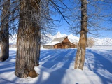Barn below Teton Range in winter Photographic Print by Frank Lukasseck