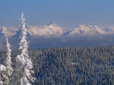 Mountains in Glacier National Park, from a ski area above Whitefish Photographic Print by Gordon Wiltsie