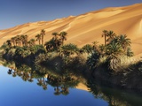 Dune rising from Um el Ma Lake Fotografie-Druck von Frank Krahmer