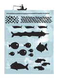 Plenty More Fish Giclee Print